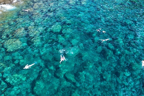 Depuis Puerto de Mogan : croisière et sortie snorkelingPuerto de Mogan : croisière et sortie snorkeling