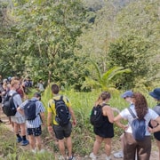 Koh Phangan: Hidden Jungle Trekking & Waterfall Adventure