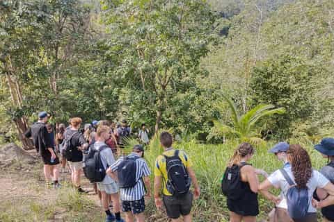 Koh Phangan : Randonnée secrète dans la jungle et aventure aux cascades
