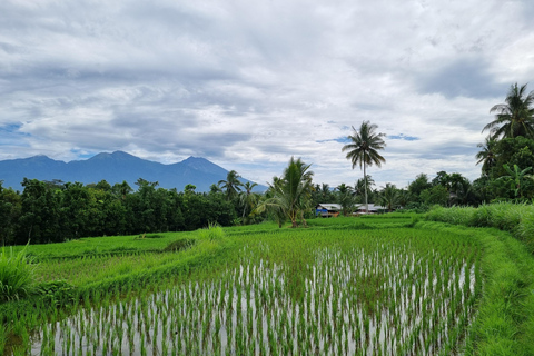 Lombok: Tour Privado Personalizado con Conductor-GuíaExcursión al norte de Lombok