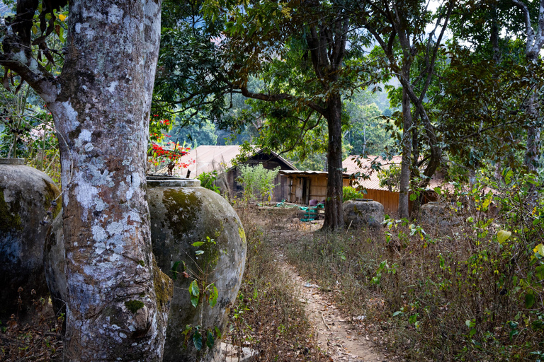 Luang Prabang: Coffee Farm Tour with Roasting & Workshop