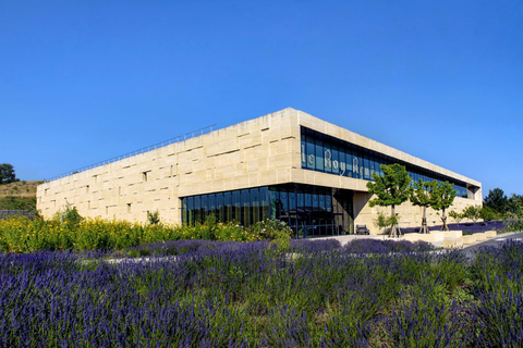 Confiserie du Roy René: gourmet guided tour of the calisson museum