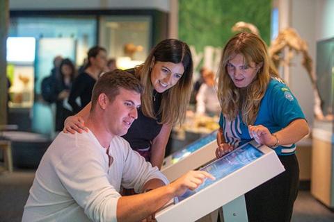 Te Papa Museum Entry (International Visitors)