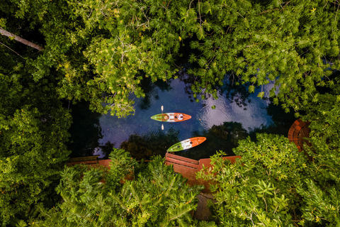 Krabi: Kajakavontuur door het mangrovebos van Ao Thalane