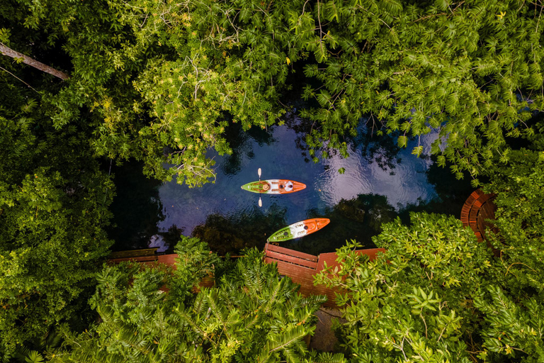 Krabi: Aventura de caiaque pela floresta de mangue de Ao Thalane