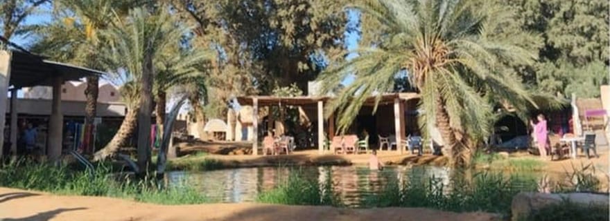 Découvrez Sabria et Tozeur en 3 jours