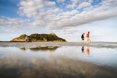 Mont-saint-Michel : Walk in the heart of the Bay
