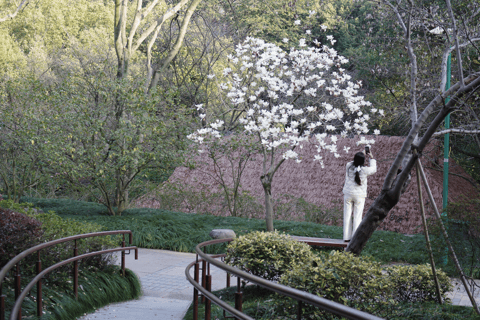 Hangzhou West Lake Bike Tour: Temple, Tea Field, Sunset Ride