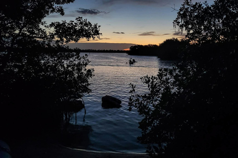 Orlando Sunset Kayak Tour with Guide