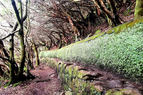 Madeira: 25 Fountains Rabaçal Forest Walk