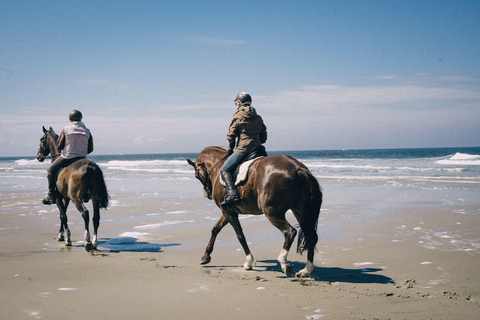 Cape Town: Noordhoek Beach Horseback Riding Tour