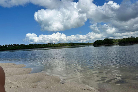 زنجبار: جولة كاياك بيئية في غابات المانغروف