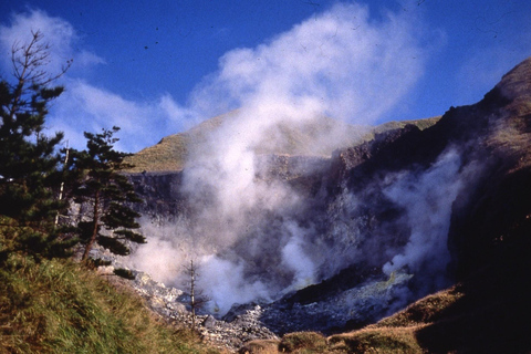 Taipei: tour guidato di Yangmingshan, Museo del Palazzo e Raohe