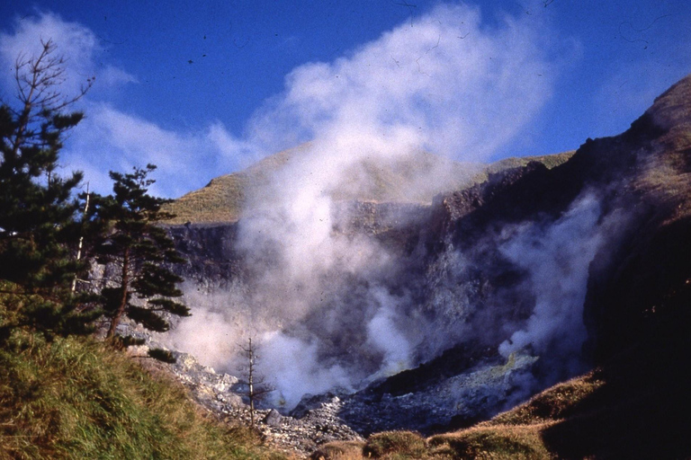 Taipei: tour guidato di Yangmingshan, Museo del Palazzo e Raohe