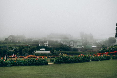 Sri Lanka: 9-Day Honeymoon Tour with Accommodation