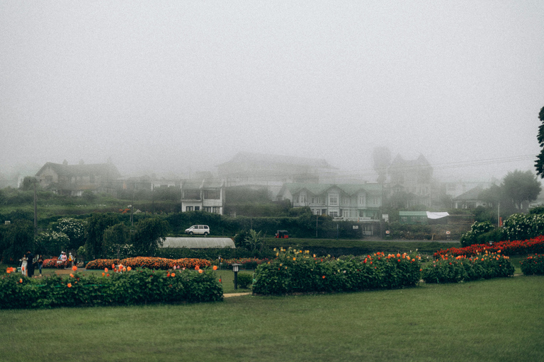 Sri Lanka: 9-Day Honeymoon Tour with Accommodation