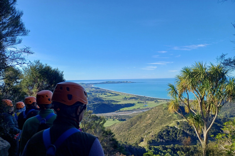 Kaikōura: Small Group Tour- optional Whale, Dolphin, Zipline Kaikōura Day Tour + Swim with Dolphins