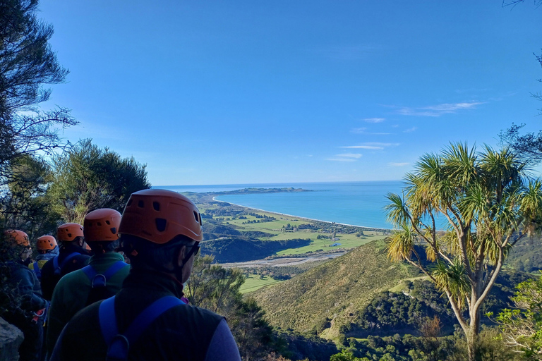 Kaikōura: Small Group Tour- optional Whale, Dolphin, Zipline Kaikōura Day Tour + Swim with Dolphins