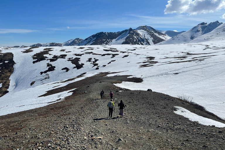 From Anchorage: Chugach State Park Guided Alpine Trek