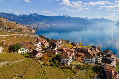 Escursione privata di un giorno: Losanna a Vevey, Montreux e il Castello di Aigle