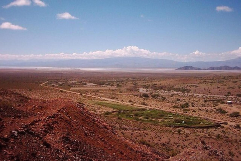 Salta: Safari to the Clouds & Salinas Grandes by 4x4
