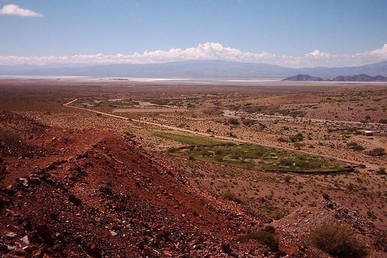 Salta: Safari to the Clouds & Salinas Grandes by 4x4