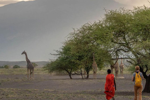 Maasai Sereniteit: Ontspannende dagtrip in Arusha