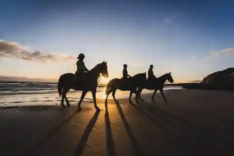 SoulRide: Horseback & Mindful Escape in Kissamos