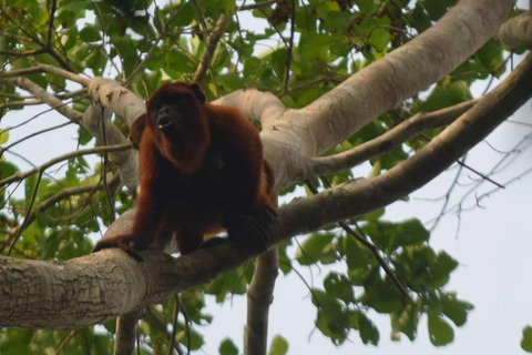 FULL DAY LAKE SANDOVAL & THE MONKEY HOUSE