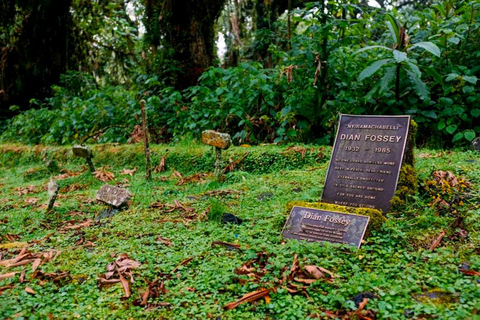 Rwanda 2-day Gorilla Trekking & Dian Fossey Tomb Visit