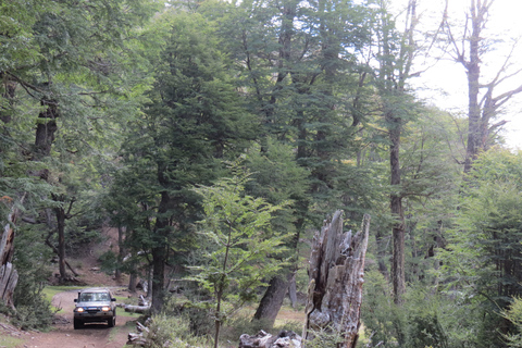 San Martín de los Andes: a 4x4 guided tour to the Mallin