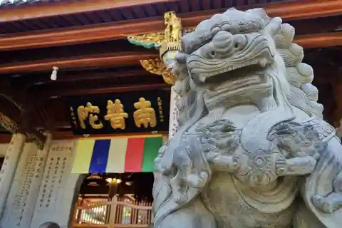 Excursions à Xiamen pendant une escale : 4 h/8 h, des charmes de la ville aux rêves insulaires