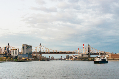 New York: avondrondvaart haven met lichtjes zonder wachten