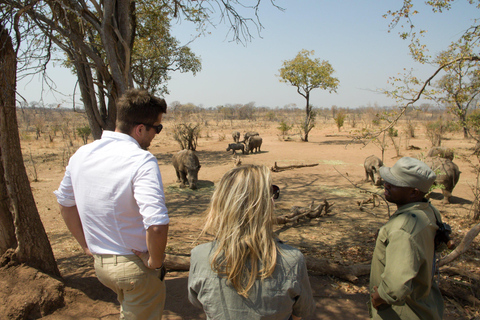 SAFARI OCH VANDRINGSSAFARI MED VIT NOSHÖRNING I LIVINGSTONE