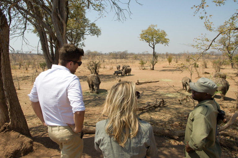 PIRSCHFAHRT UND BREITMAULNASHORN-WANDERSAFARI IN LIVINGSTONE