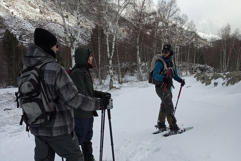 Cerdaña: Tour en raquetas de nieve por los bosques y lagos del Pirineo