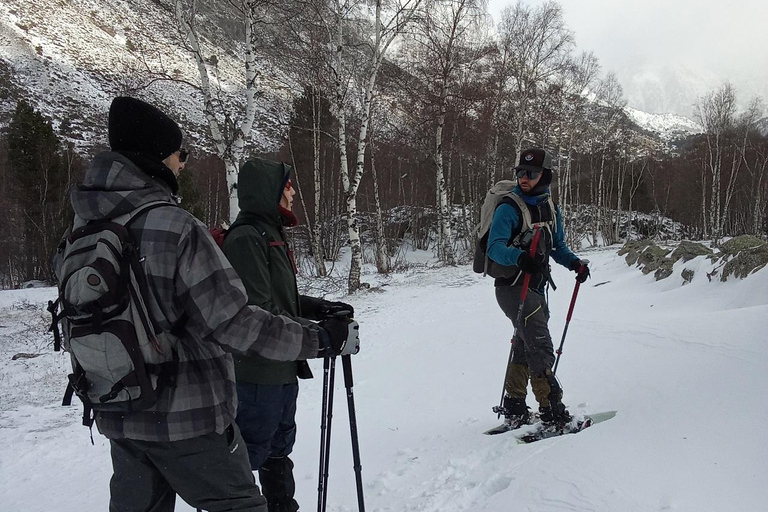 Cerdanya: Snowshoe tour through the forests and lakes of the Pyrenees