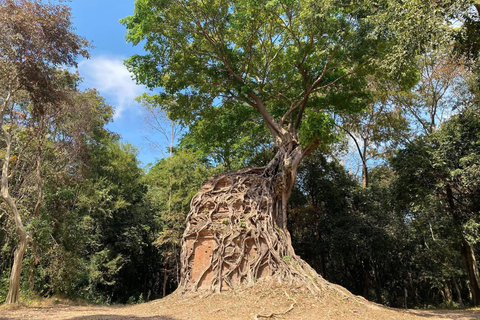 From Siem Reap: 5-Day Angkor Temples & Phnom Penh