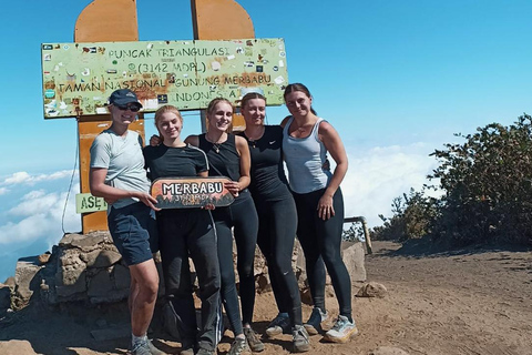 Escursione all&#039;alba sul Monte Merbabu con opzione campeggio Tour guidatoTrekking di un giorno