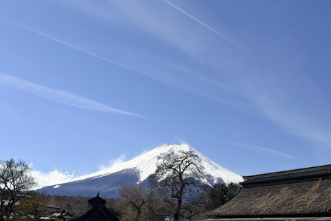 Tokyo: Private Daytrip to Mount Fuji - Fully Customizable Mt Fuji Private Luxury Van Tour (Customizable Experience)