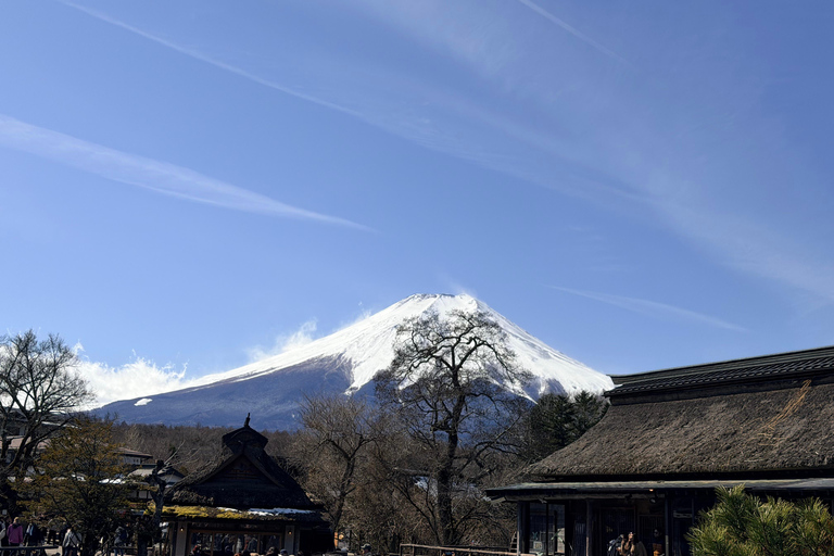 Tokyo: Private Daytrip to Mount Fuji - Fully Customizable Mt Fuji Private Luxury Van Tour (Customizable Experience)
