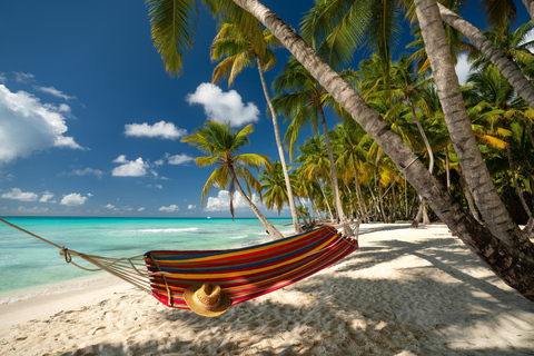 Saona Island Relax: Beach, Natural Pool, Food and Drinks All Inclusive
