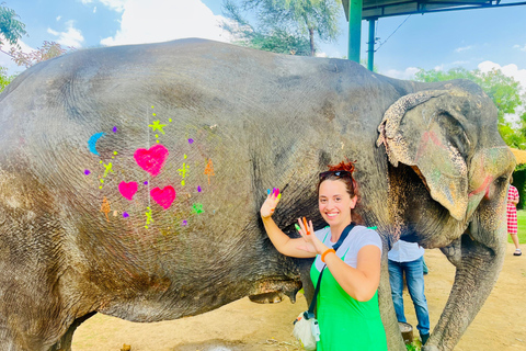 Jaipur: Wycieczka na słoniuJaipur Elephant Interaction Tour