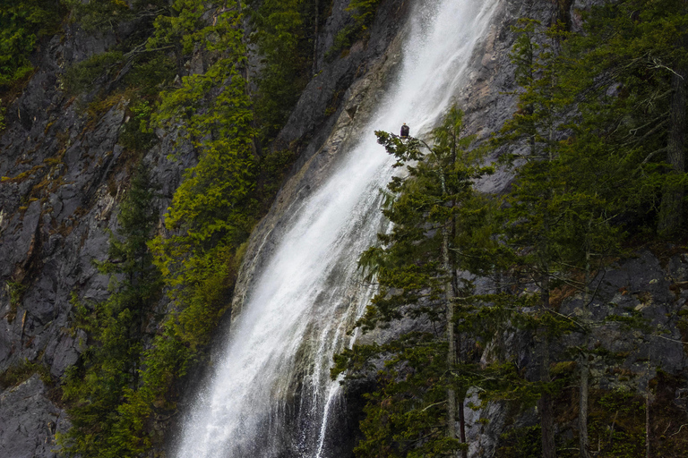 Campbell River: Spring Bear Watching & Waterfalls Boat Tour