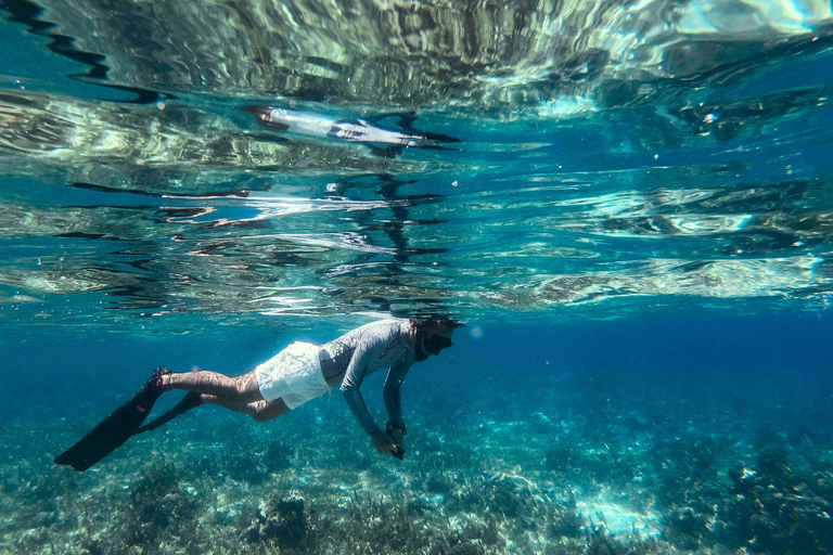 Valencia: Cala Moraig Beach and Cova dels Arcs Hike