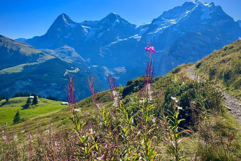 Panoramic Hiking Tour above Lauterbrunnen Valley from Zurich Panoramic Hike - Exploring Lauterbrunnen from Zurich