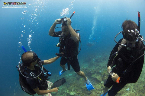 Bentota: Guided Scuba Diving Ocean Tour 2-Dive Package for Certified Divers (Includes Gear)