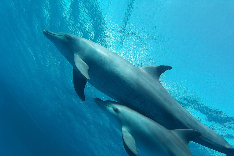 Hurghada: Luksusowa prywatna wycieczka jachtem z lunchem i atrakcjami