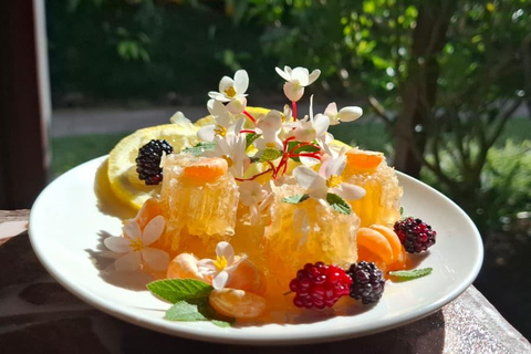 Boquete's Original Honey Tasting: 20+ Wild & Native Honeys