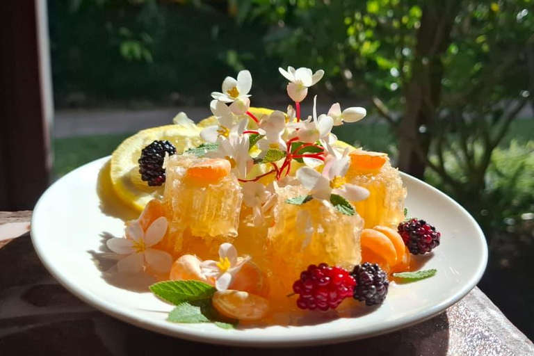 Boquete's Original Honey Tasting: 20+ Wild & Native Honeys
